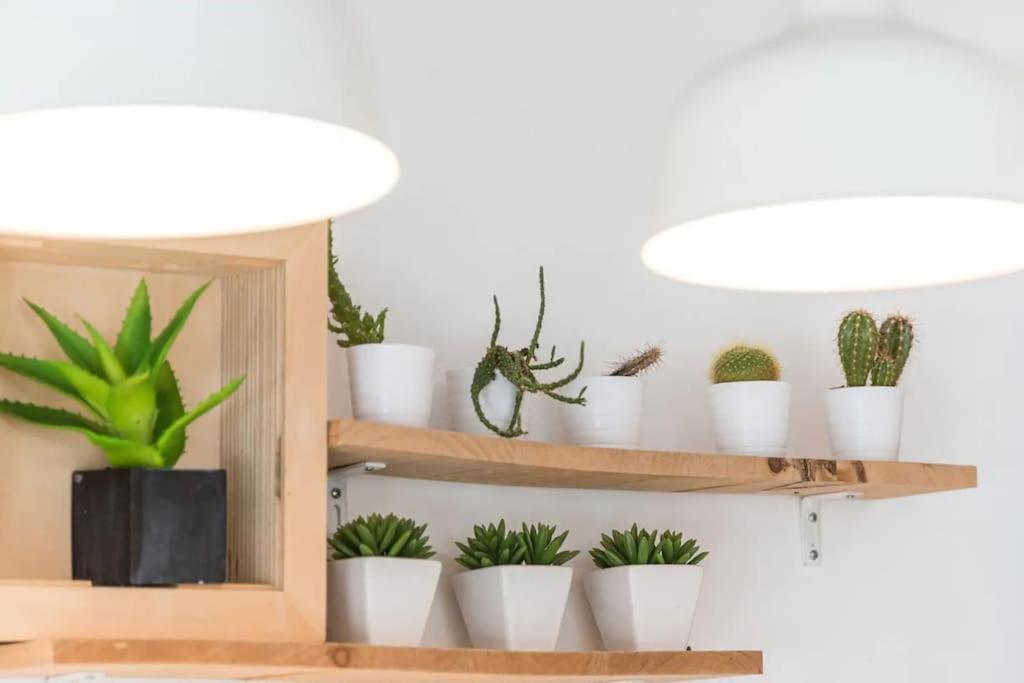 Inlapa Studio VI Porto Garden Eksteriør bilde